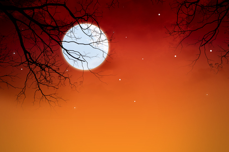 Background of red orange, black hawthorn and white moon. With Halloweenの写真素材
