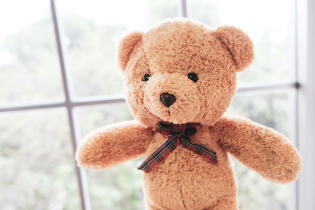 The brown-haired teddy bear stands by the window and encourages people who are disappointed to be discouraged.の写真素材