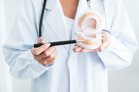 orthodontic model and dentist toolの写真素材
