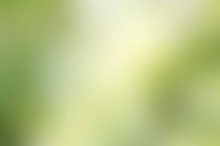 Green background for people who want to use graphics advertising.の写真素材