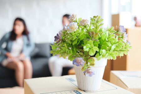 Asian women working together in the office