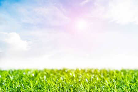 Green lawn with blue sky.  Spring landscape in sunny day.の写真素材