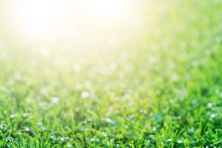 Green lawn with blue sky.  Spring landscape in sunny day.の写真素材