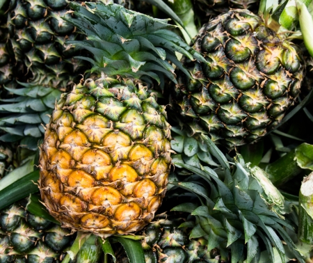 pineapple is a fruit for export of thailandの写真素材