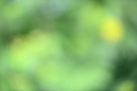 Abstract blurry backgroundsの写真素材