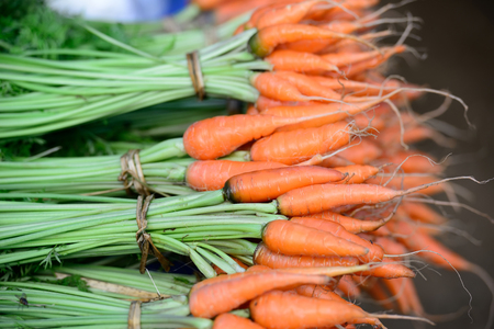 Fresh baby carrotsの写真素材