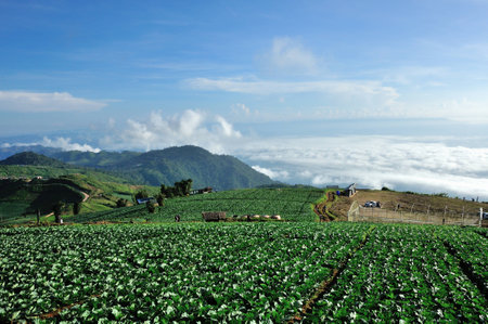 Phu tabberk in Phetchabun Province Asia Thailandの写真素材