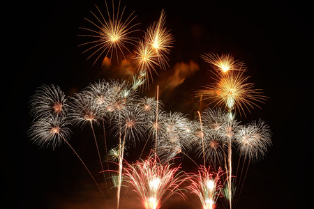 fireworks on the black sky background