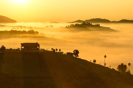 Fog covered trees in the valleyの写真素材
