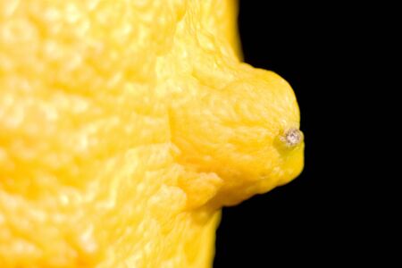 Fresh lemon close-up on blackの写真素材