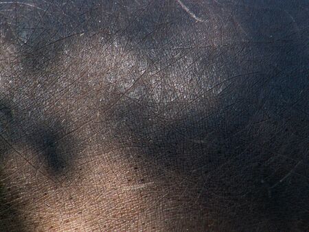 detail of a hippo's skinの写真素材
