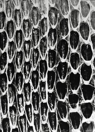 structure