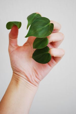 picture of my hand with leaves fingersの写真素材