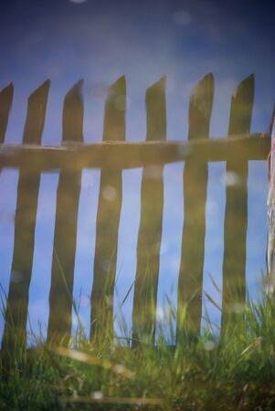 waterの写真素材