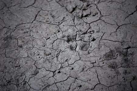 dry ground