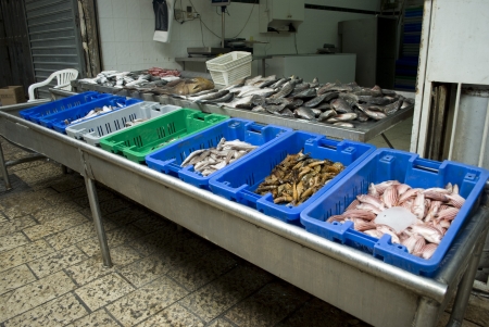 fish market, Israelの写真素材
