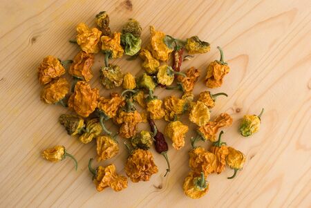 Dried chilli peppersの写真素材