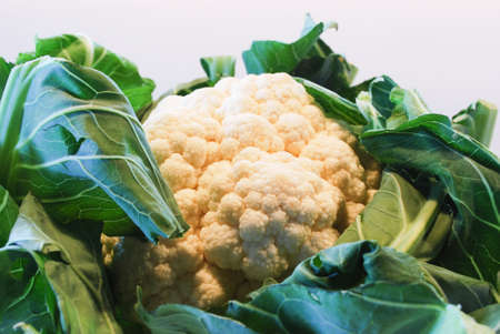 cauliflowerの写真素材