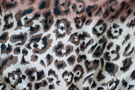 leopard fabricの写真素材