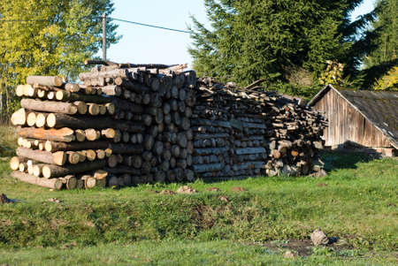 wood