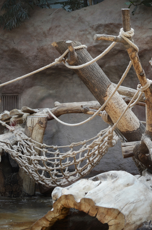 monkey pavilionの写真素材