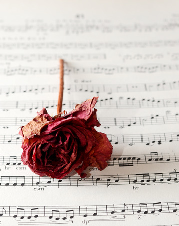  musicの写真素材