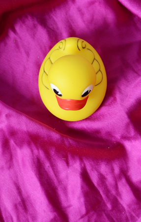 yellow duckの写真素材