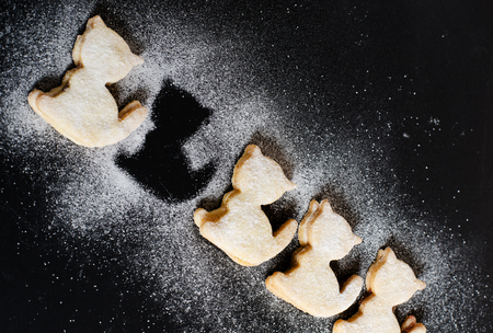 cat cookiesの写真素材