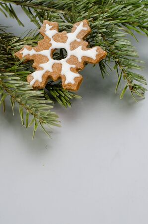 gingerbread cookiesの写真素材