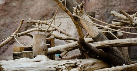 playground for monkeysの写真素材