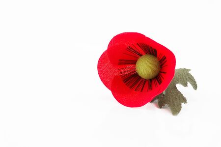 A fabric poppy flower pin on white backgroundの写真素材