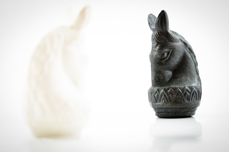 A black horse chess face the white horse chess on white backgroundの写真素材