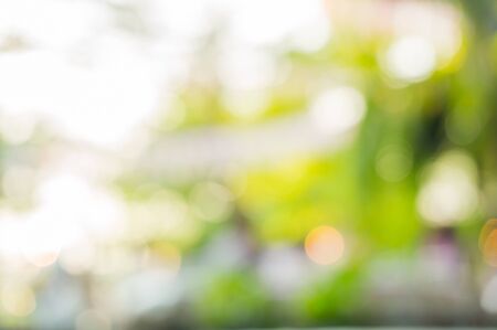 Blurred of green garden during sunshine day.の写真素材