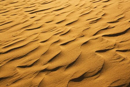 sand pattern in morning sun in the Sahara desertの写真素材