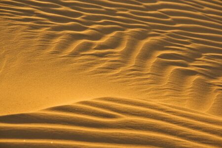 desert sand pattern in the evening sun の写真素材