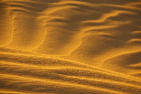 desert sand pattern glows in evening sunの写真素材