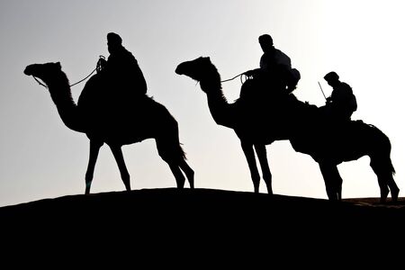 silhouettes of three man riding dromedaries in the desertの写真素材