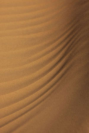 close-up of sand pattern in the desertの写真素材
