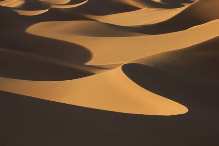 desert sand dunes in evening light with shadowsの写真素材