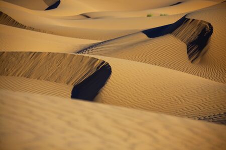 Sahara desert sand dunes in daylight with shadows. Concept for holiday and adventure traveling.の写真素材