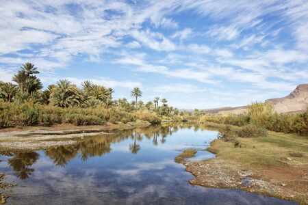 Oasis with date palms at the Draa River with cloudy blue sky reflected in the water, Draa Valley,...