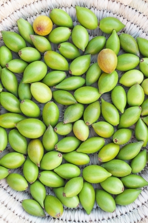 Argan nuts from the Argan tree, that is cultivated for the oil (argan oil) which is found in the fruit. The oil is rich in fatty acids and is used in cooking and cosmetics. の写真素材