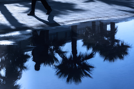 Dark reflections of palms and a man walking.の写真素材
