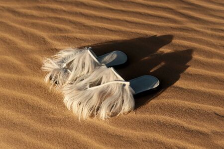 Fancy moroccan goat hair slippers on desert sand.の写真素材