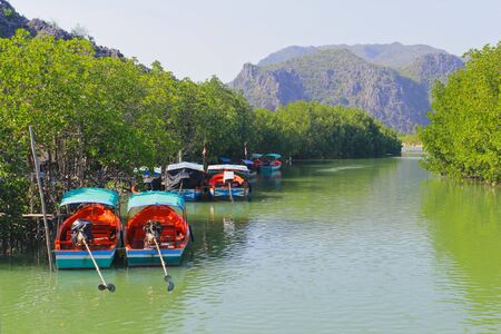 mangrove and boatsの写真素材