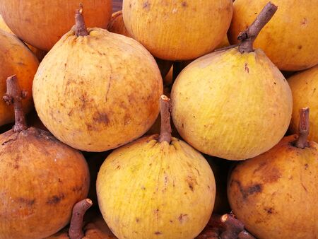 Organic fresh fruit Santol sold in Thailand's local market.の写真素材
