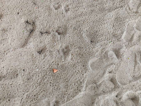 Footprints on the sand