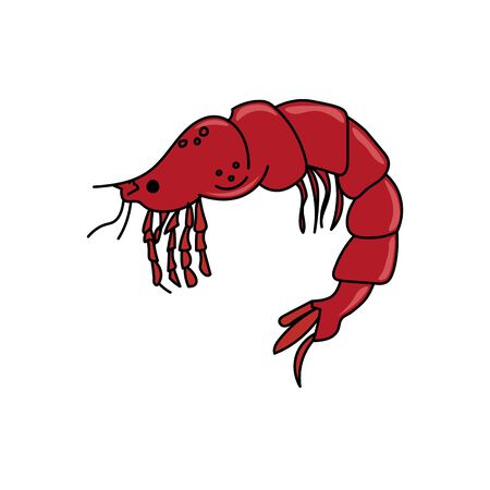 Delicious fresh beautiful tender shrimp. Seafood. Dietary meatのイラスト素材