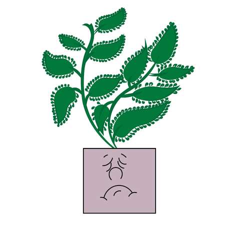 Emotional pot with plant in cartoon illustration.のイラスト素材