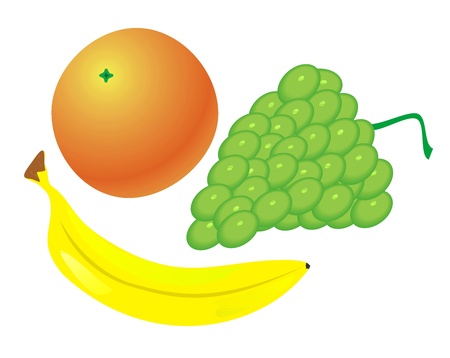 Fruit in the vectorのイラスト素材